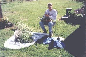 Herb Garden