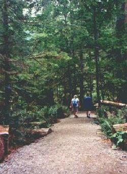 Westwood Trail