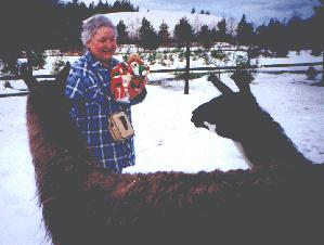 Llama