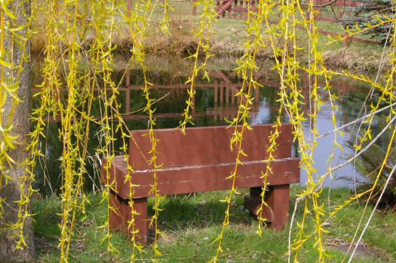 Monastery Grounds