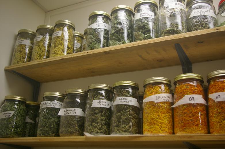 Herb Garden